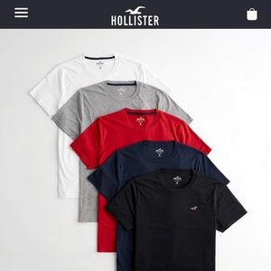 Hollister Crewneck T-Shirt Men’s Gray and Navy